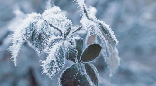 Időjárás: derült éjszaka, köddel indulhat a szombat +VIDEÓ