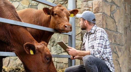 Versenyképes tudás, vonzó pálya: új lendületben az agrárszakképzés