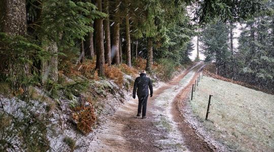 Agrometeorológia: Hoz-e fordulatot az új év első hete az időjárásban?