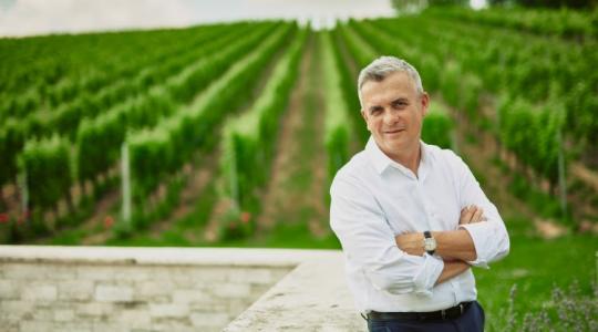 Magyarország szembemegy a globális trenddel: újra nő a borfogyasztás