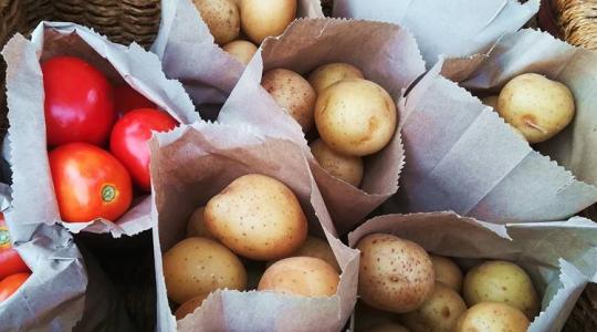 A paradicsomtól a sült krumpliig: így született a burgonya