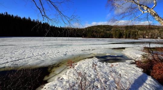 Olvadás–visszafagyás: ez a tél legtrükkösebb napja a kertnek