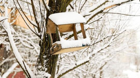 Hónyomás után: 6 gyors lépés, hogy ne maradjon „ferde” a kerted