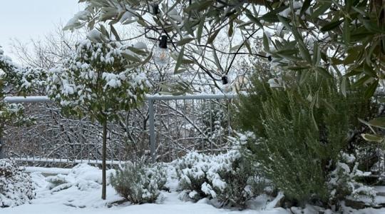 A januári szél kártérképe: hol veszít a kerted hőt?