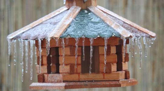 A madáretető „legjobb” helye: nem ott van, ahol gondolnád