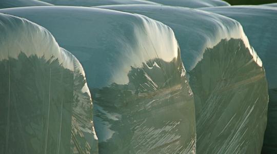 Összevissza tárolod a zsákos takarmányt? Így lesz belőle rágcsálómágnes