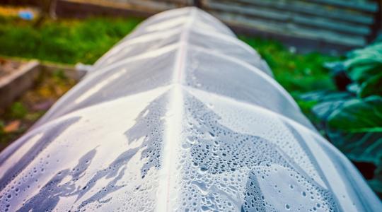 A fóliasátor „izzadása”: miért csapódik le a pára pont hajnalban?