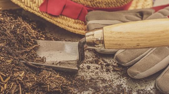 Palántaföld januárban: mit NE vegyél meg, hiába olcsó?