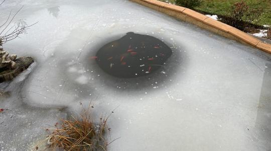 Kerti tó télen – lék, levegőztetés, iszap: mi a helyes sorrend?