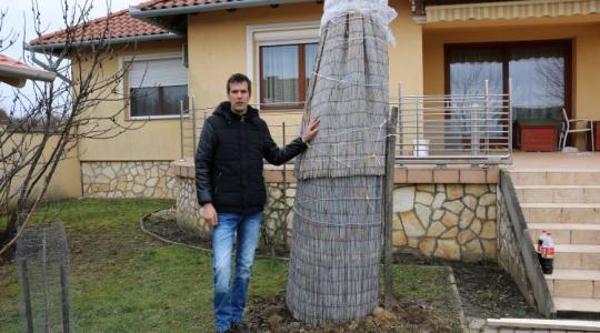 Jön a lehűlés: veszélyben a fagyérzékeny növények!