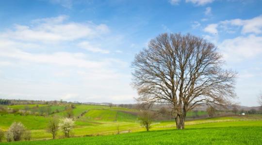 Ezek a változások a Földforgalmi törvényben!