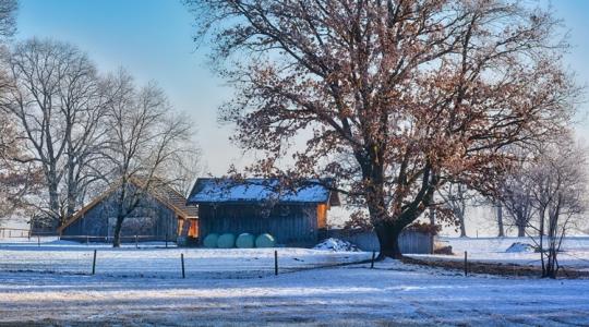 Gazdasági udvar jégmentesítése: mit szórj, hogy ne marja a betont?