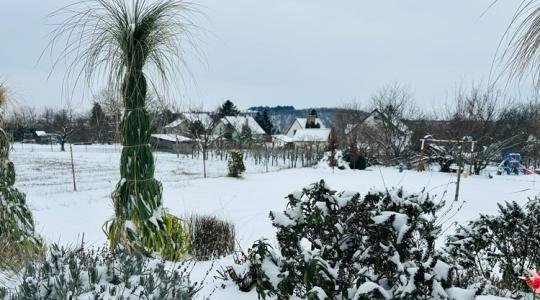 Fagyzug a kertben: a januári „hidegfoltok” kimutatása házilag
