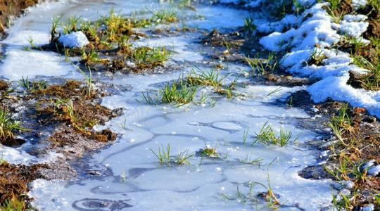 A fagyott talajra szórt trágya és komposzt: miért rossz ötlet?