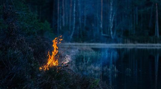 Kandalló és kerti faanyag: miért nem mindegy, mit égetsz?