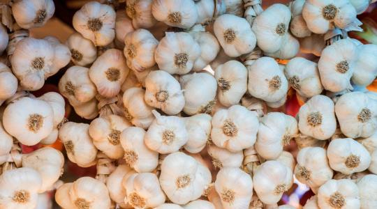 Minőség vagy árverseny? Döntés előtt a fokhagymaágazat