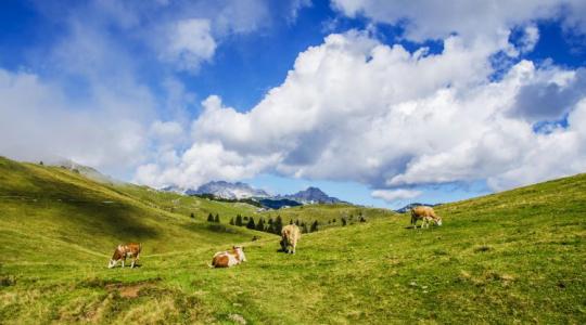 Mercosur: Összehívták az agrárminisztereket, most dőlhet el a jövőnk