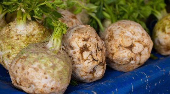 5 éves mélyponton a zeller ára, bosszankodnak a lengyel gazdák