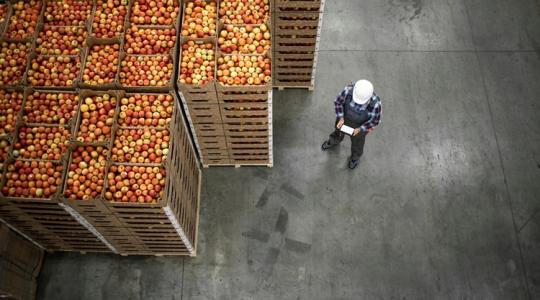 Egyre többen esznek lengyel almát az EU-n kívül is