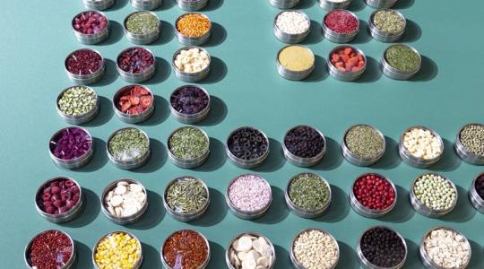 ProSweets édességipari kiállítás és vásár