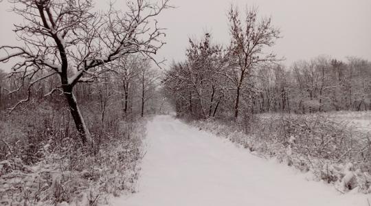 Ez a hó most aranyat ér: így hasznosítható a téli csapadék a mezőgazdaságban