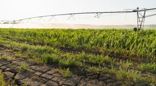 A jövő mezőgazdasága a tudatos alkalmazkodáson múlik