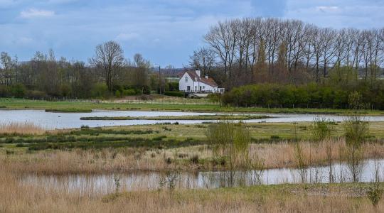 Nitrát, foszfor, eutrofizáció: miért fontos a vízminőség védelme?