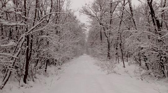 Időjárás: Új hét, új remény, de semmi jóra ne számíts – nehéz körülmények jönnek! +VIDEÓ