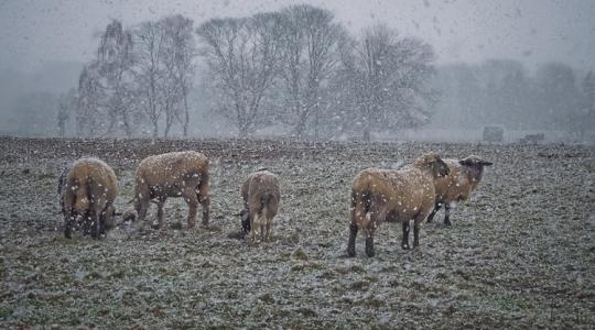 3 napos időjárás-előrejelzés: Közeleg a nap, amikor pluszokat mutat a hőmérő