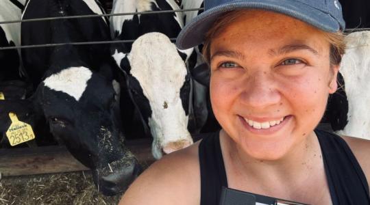 Kérődzők, járványok, tejválság: egy állatorvos őszinte helyzetképe