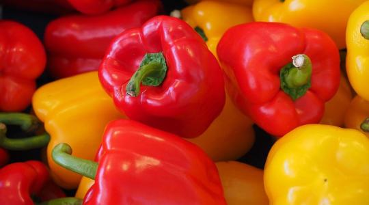 Történelmi csúcs: hihetetlen mennyiségű marokkói paprika érkezett Németországba