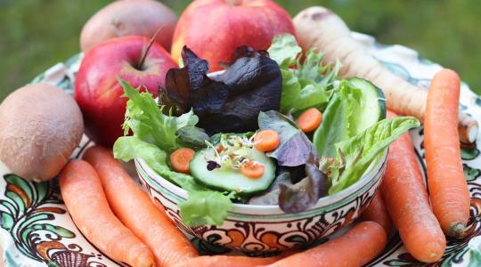 Mitől egészségesebb a bio? Több mint vegyszermentesség