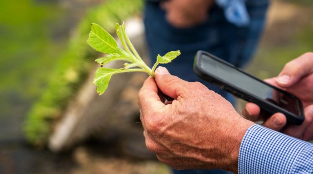 Tudásátadás, adat és megtérülés – így épül fel a PREGA szántóföldi szekciója