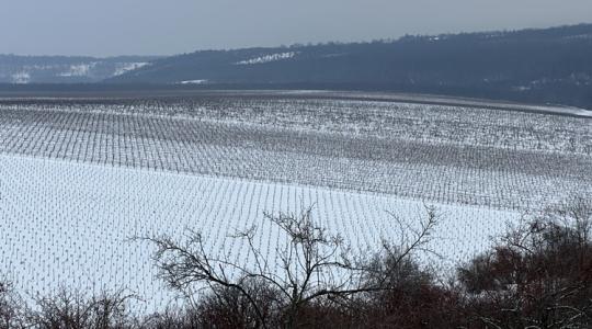 Beszédes adatsor: kiderült, mit árul el a havas napok száma?