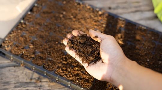 Zöldség, szőlő, takarmánynövény: mindenhol bizonyítottak az innovatív biotrágyák