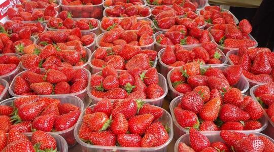 Február végén már a polcokon lehet a görög szamóca