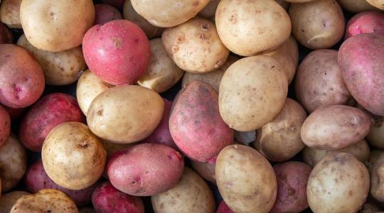 Elképesztő átlagár: 37 forintot kérnek a burgonya kilójáért