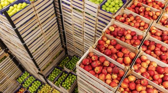 Ennyivel emelkedhet az alma ára 