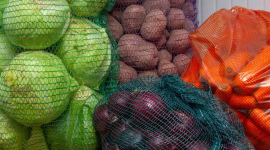 Tárolás nélkül veszteségbe fordul a zöldségtermesztés