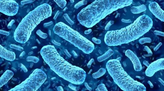 Listeria Európában: miért nő a súlyos fertőzések és halálesetek száma?