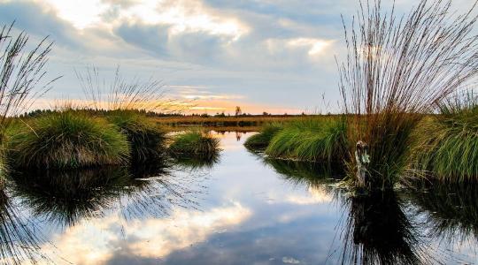 2025 jogszabályi mérlege: mit kell tudni a vízgazdálkodási jogszabályok változásáról?