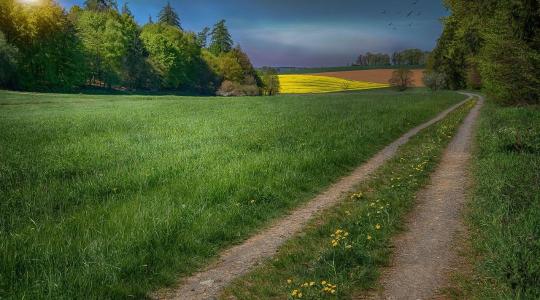 Véget ért az agrár-erdészeti rendszerekre kiírt támogatási felhívás