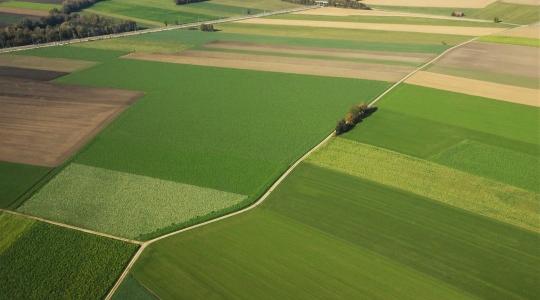 Földműves igazolás szükséges a 10 hektár alatti állami földek megvásárlásához