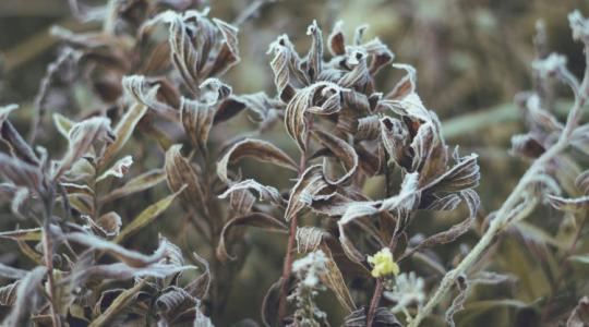 Időjárás: Január van? Január van! Sok jót ne várj +VIDEÓ