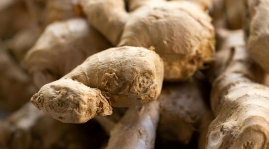A gyömbér lett a 2026-os év gyógynövénye Németországban
