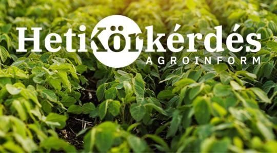 Melyek a különböző éréscsoportú szójafajták „zászlóshajói”? – Heti Körkérdés