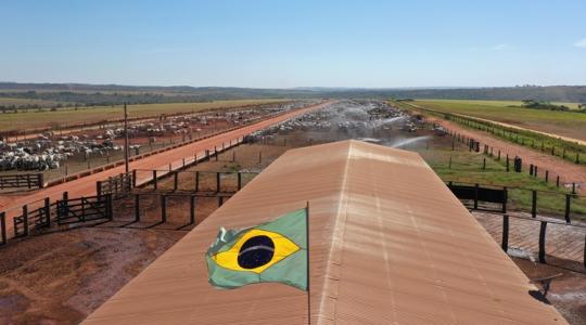 Hormonok, antibiotikumok, növényvédőszer-maradványok: ilyen lesz a dél-amerikai importhús?