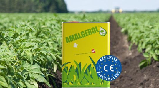 Uniós szinten is bizonyított hatékonyság: Amalgerol®