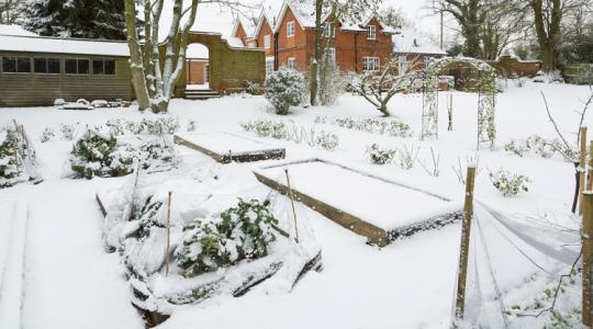 Használd ki ezeket a napokat! Ezektől a kártevőktől szabadíthatja meg a kertedet a fagy, ha teszel érte!