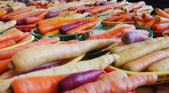 Hűtőtárolóból érkezik ez a zöldségféle – magasabb árakkal